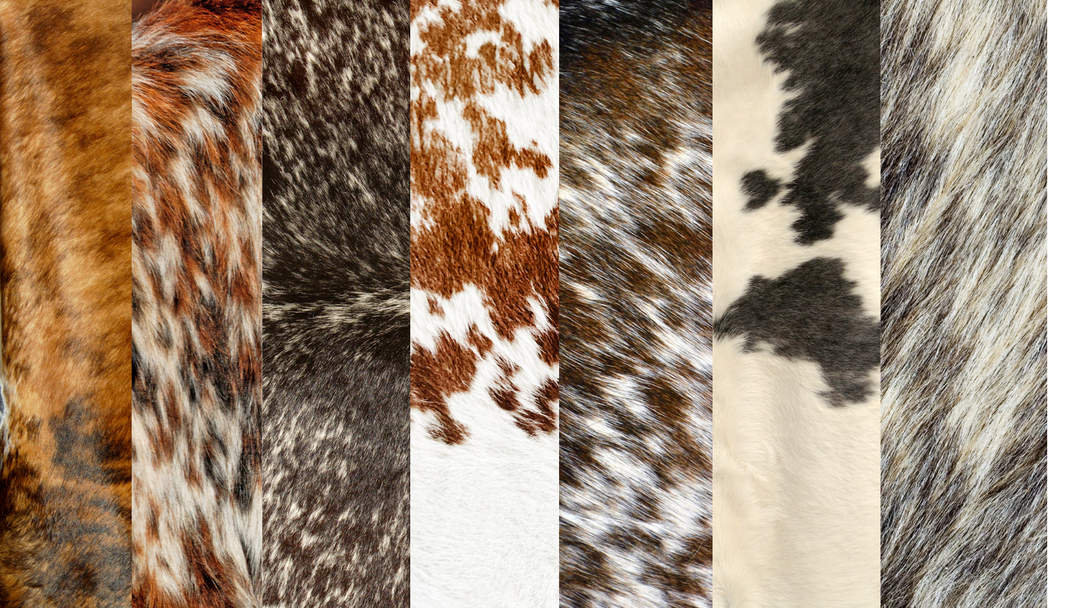 Colors In Cowhides