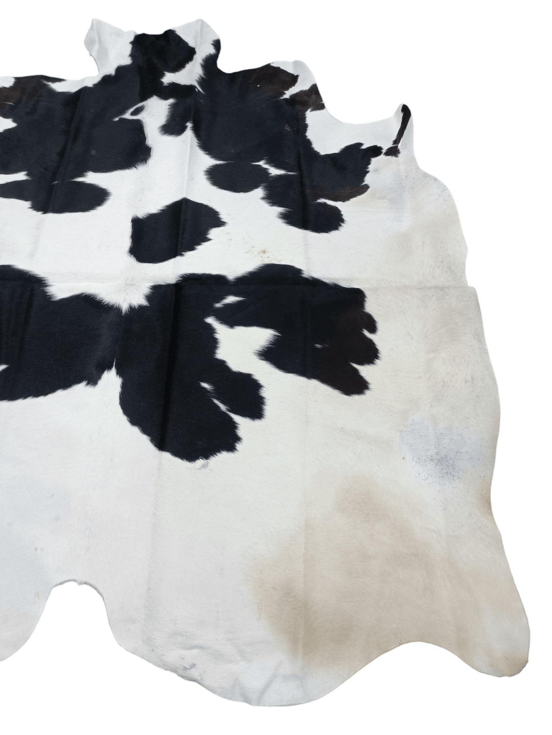 Black And White Cowhide Rug #1556