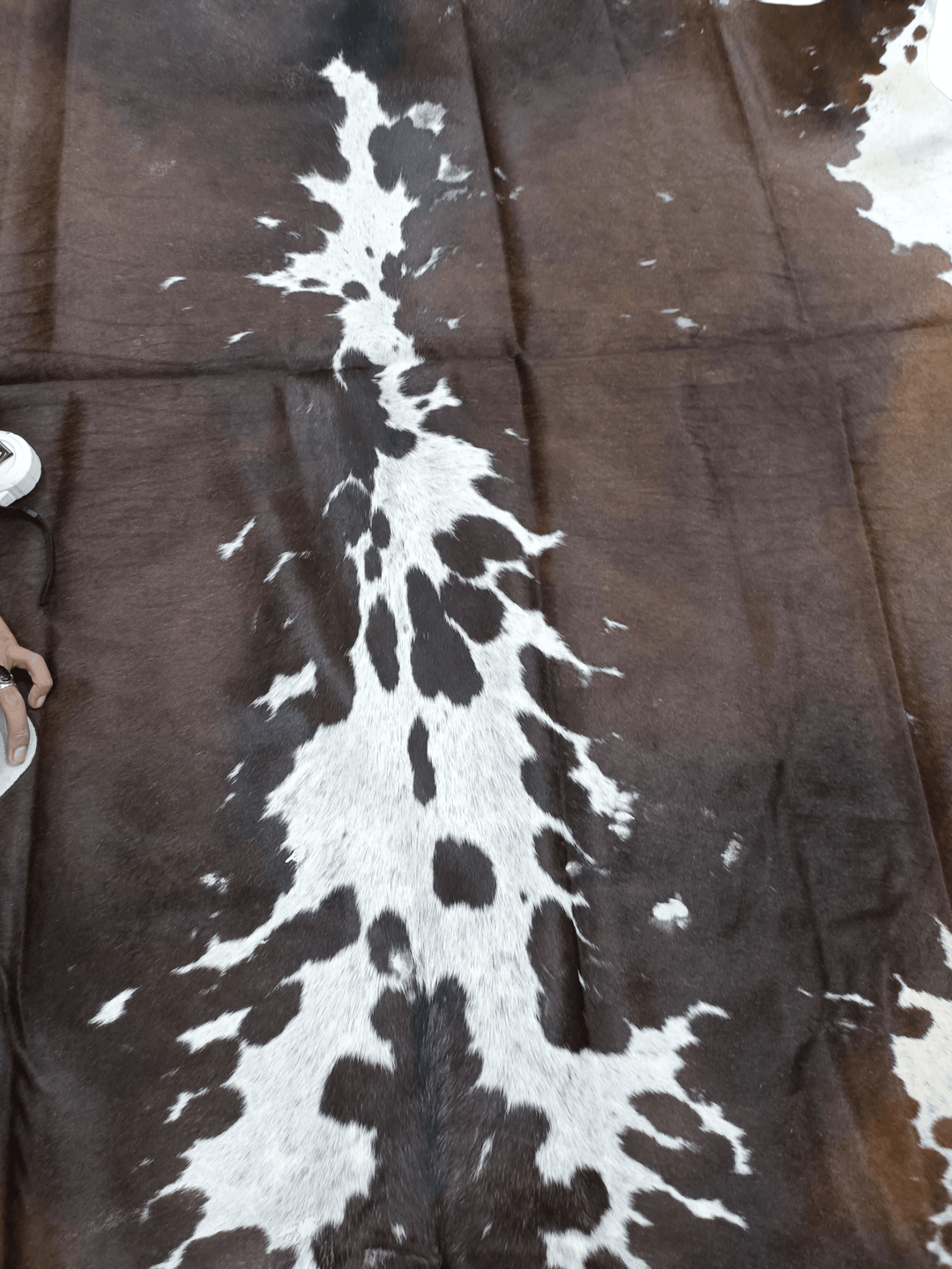 Brown & White Cowhide Rug #1553