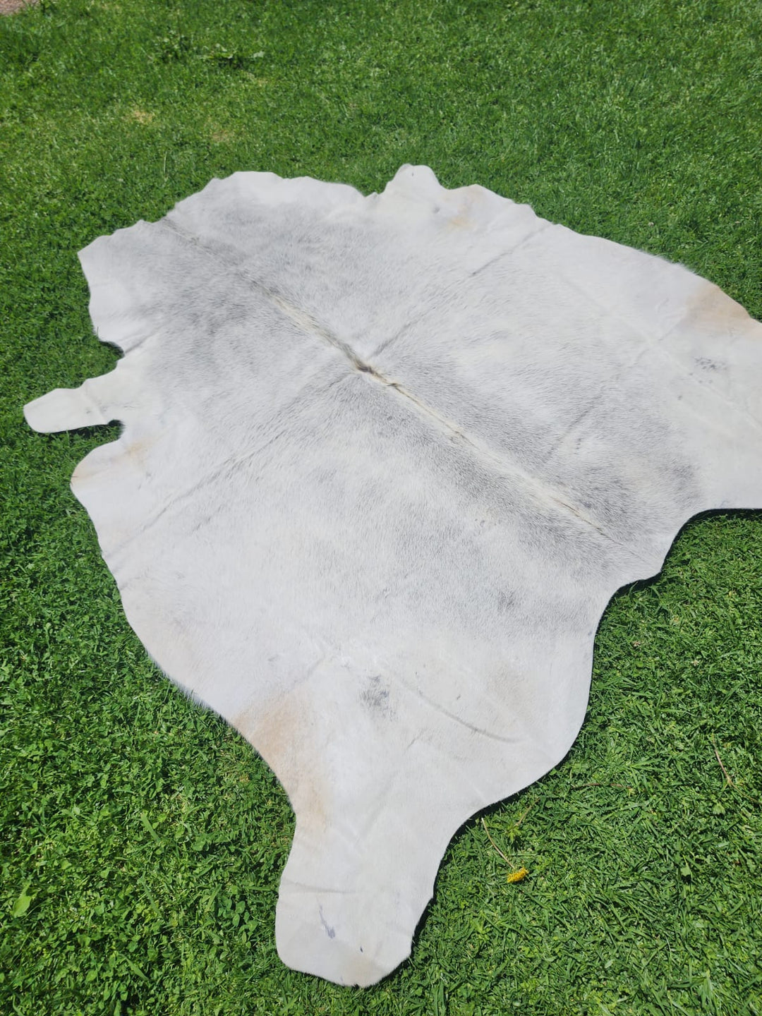 Grey Cowhide Rug #1299