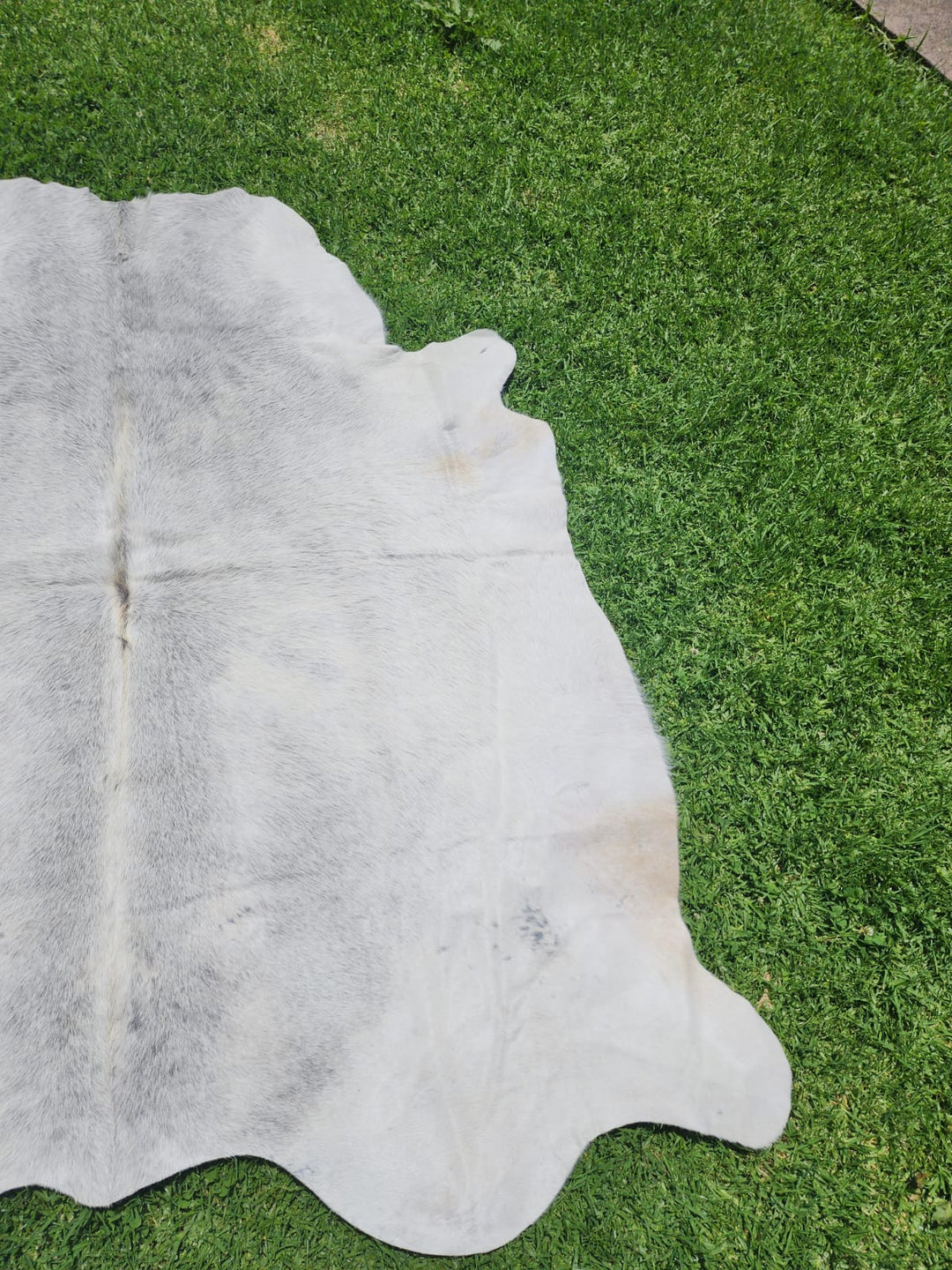 Grey Cowhide Rug #1299