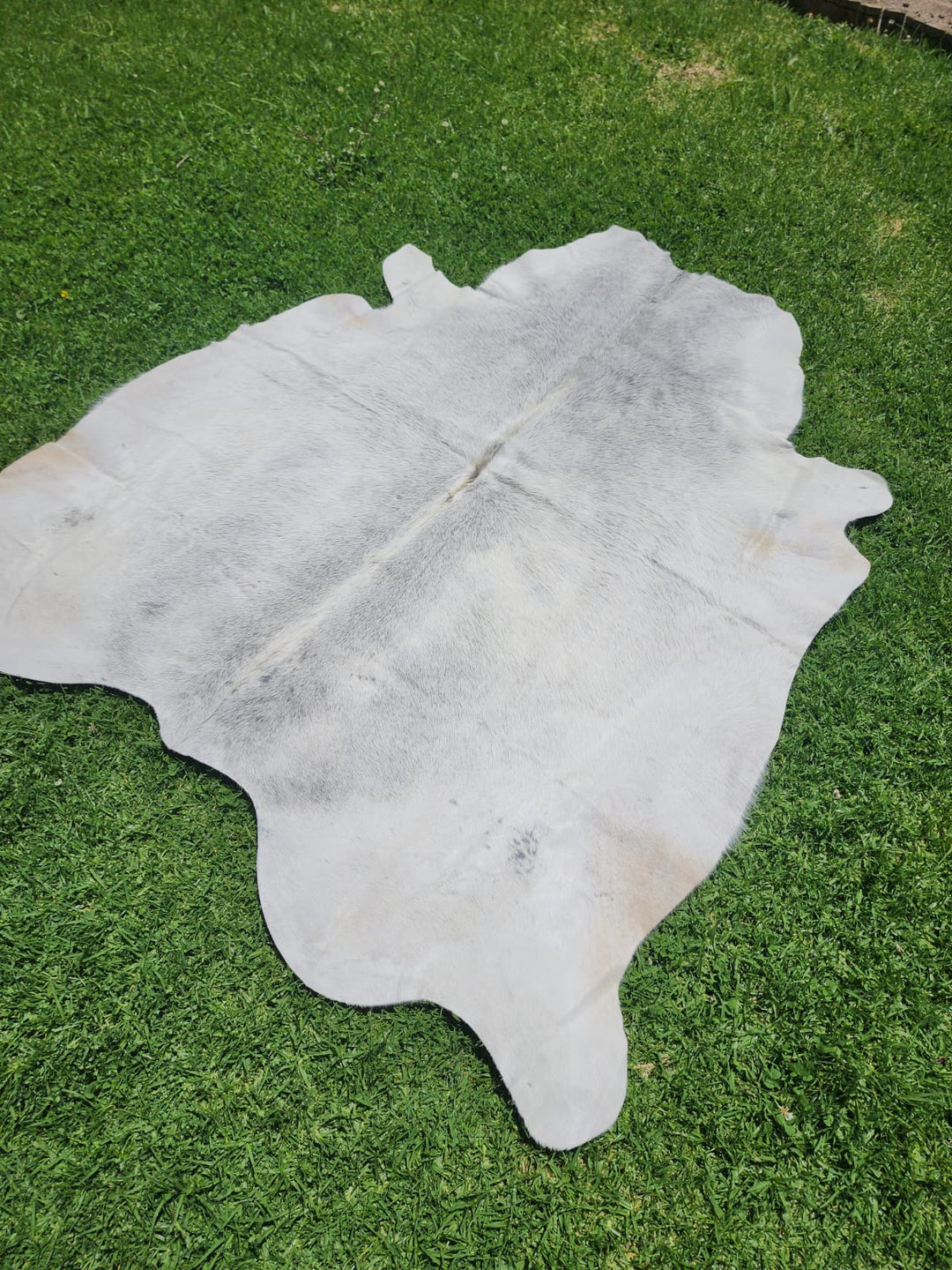 Grey Cowhide Rug #1299