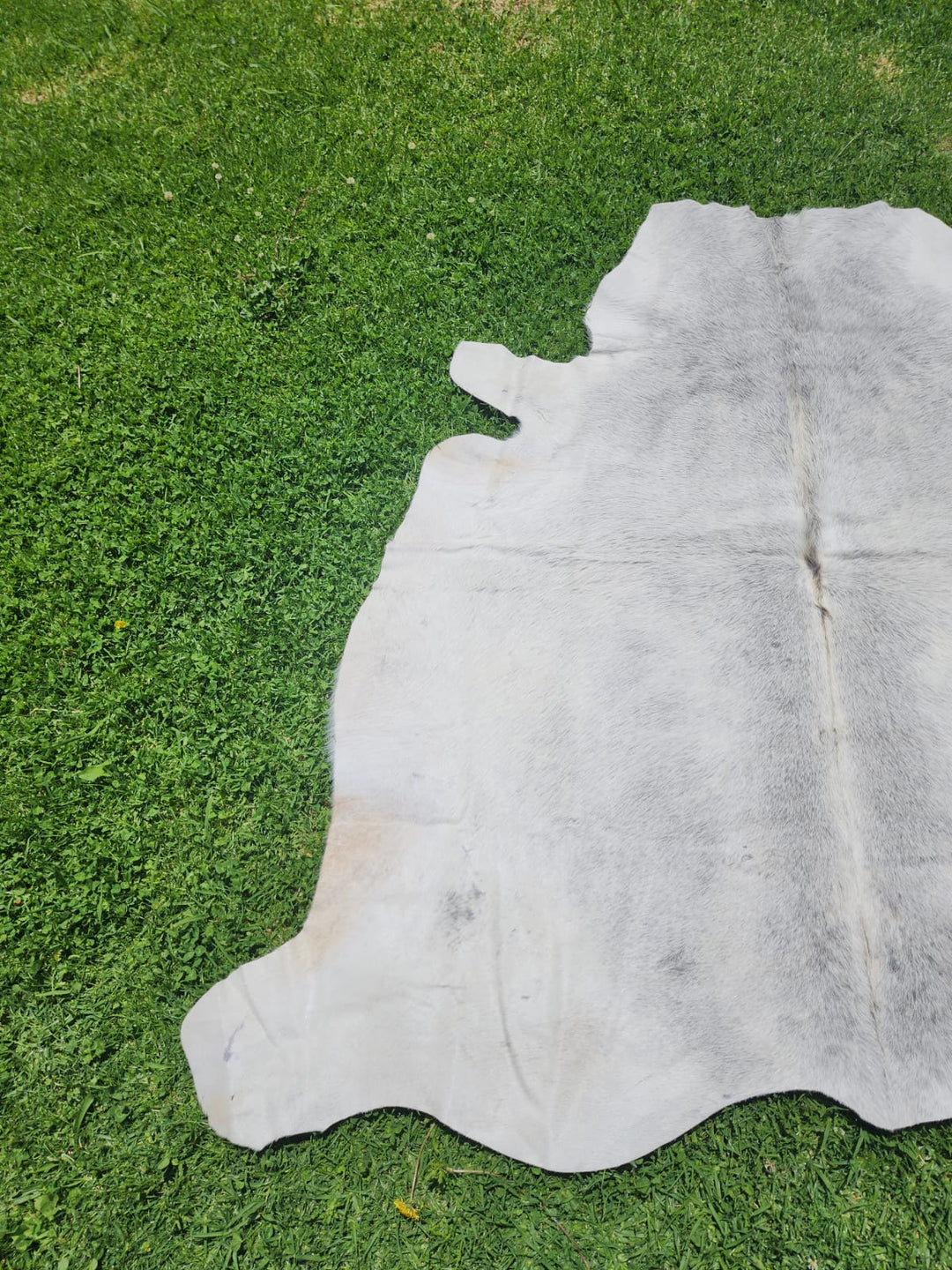 Grey Cowhide Rug #1299