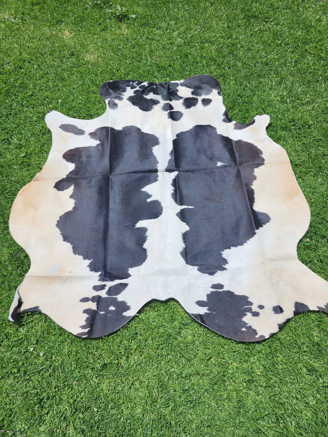 Black Cowhide Rug #1425