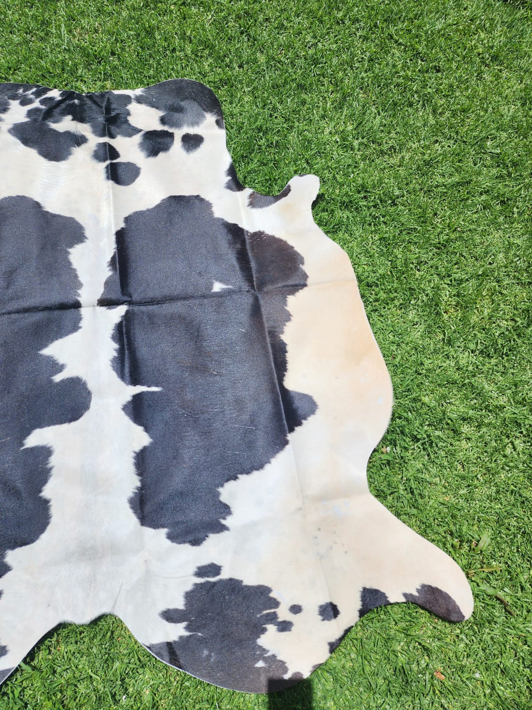 Black Cowhide Rug #1425