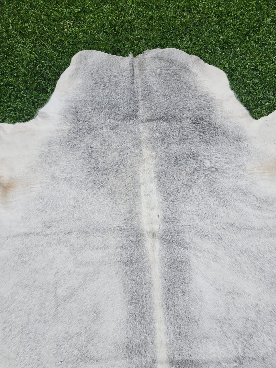 Grey Cowhide Rug #1291