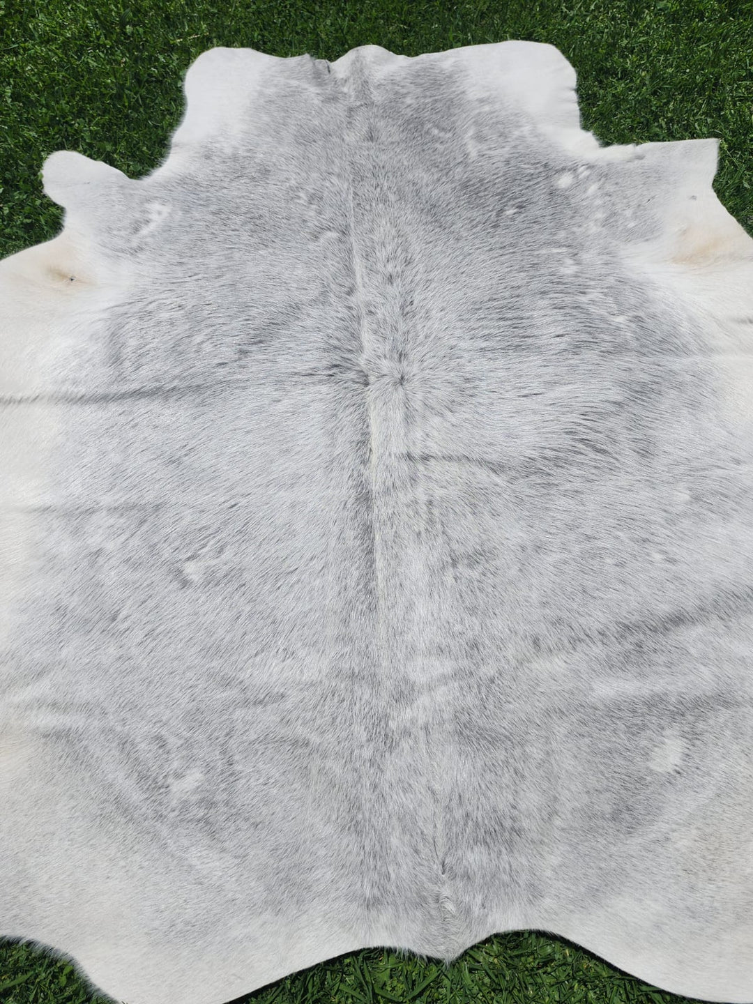 Grey Cowhide Rug #1291